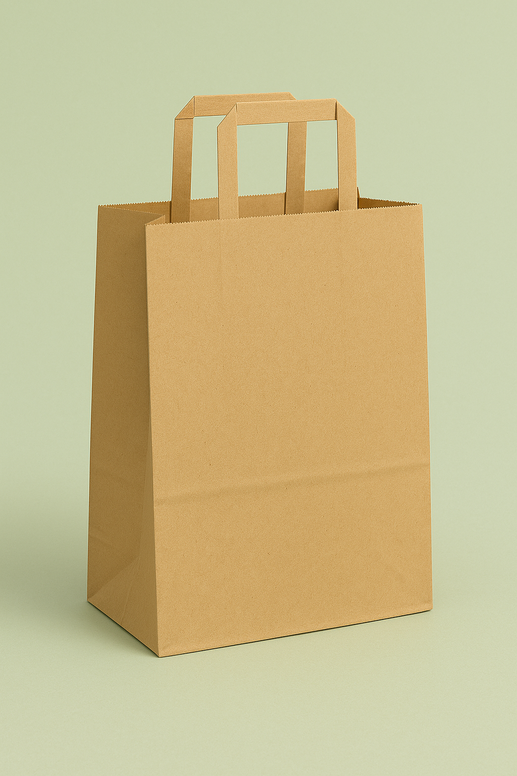 Paper Bag with Handle – 8″×5″×11″ (200 Pcs)