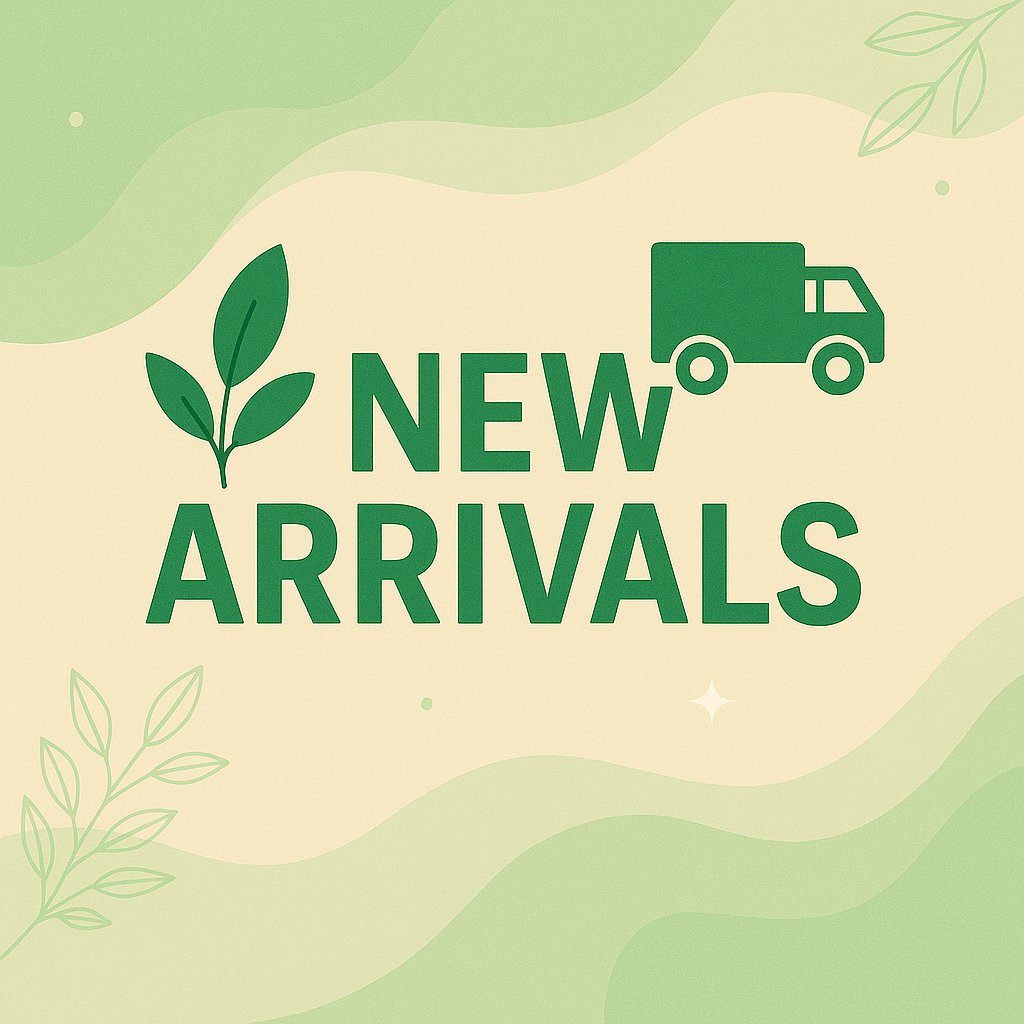 New arrivals