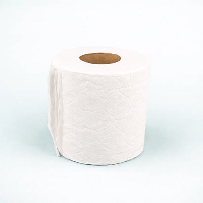 2 Ply Toilet Tissue [Everest] (48rl/cs)
